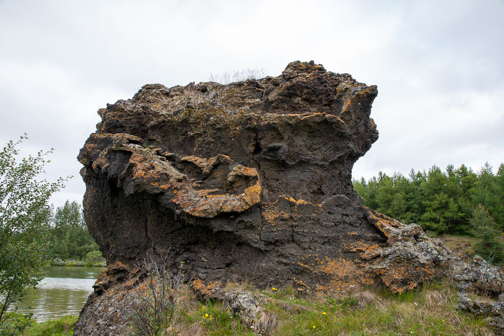 Pentax K-1 / 6 Pentax K-1   6