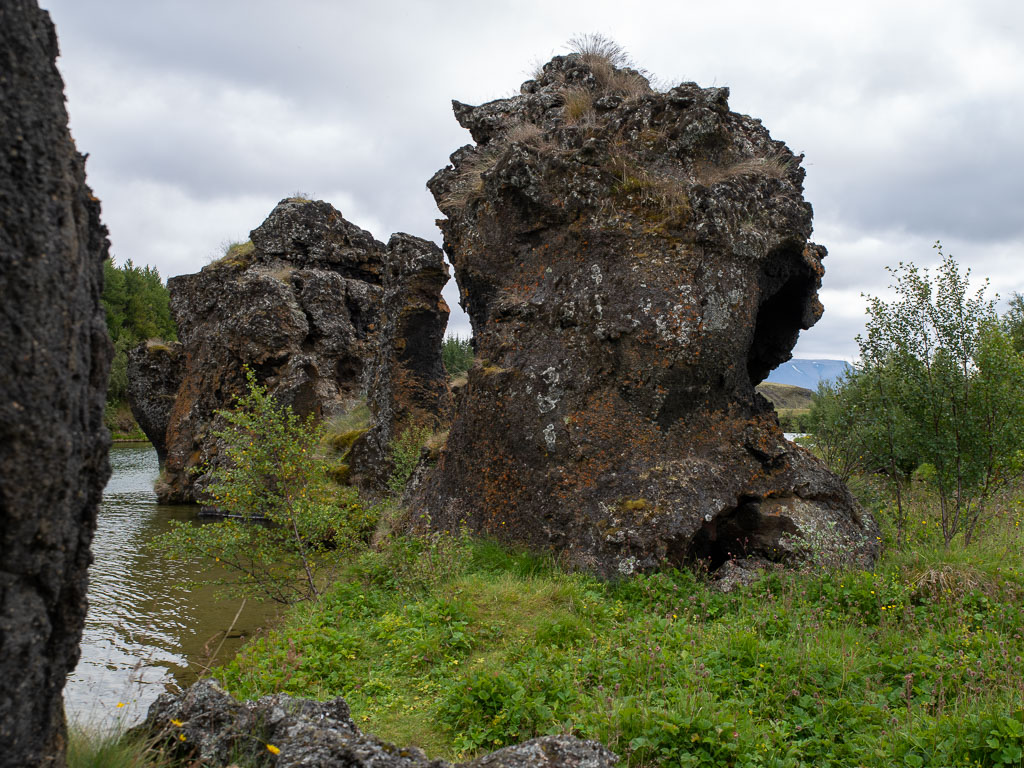 Pentax K-1 / 6 Pentax K-1   6