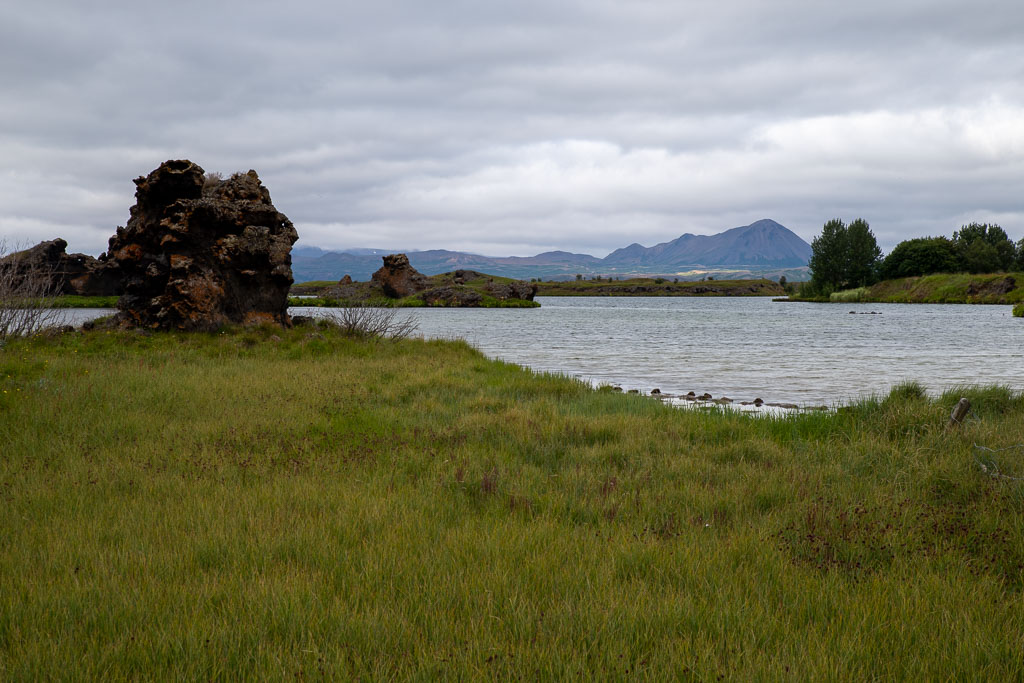 Pentax K-1 / 6 Pentax K-1   6