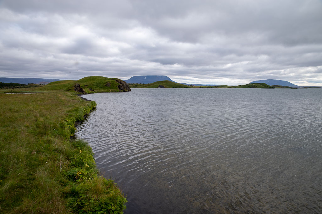 Pentax K-1 / 6 Pentax K-1   6