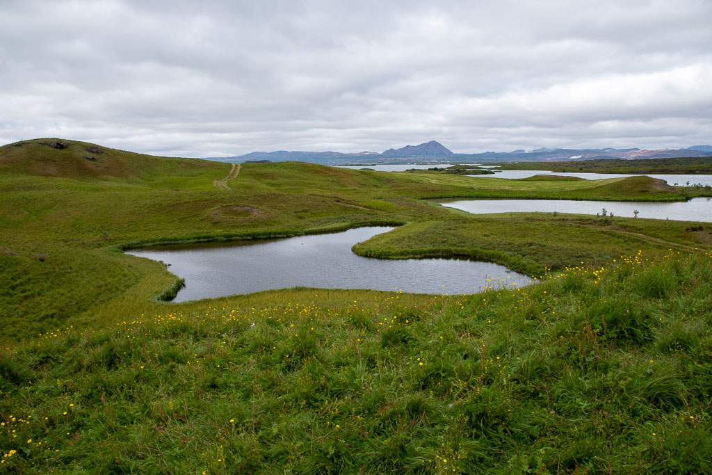 Pentax K-1 / 6 Pentax K-1   6