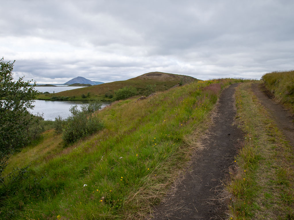 Pentax K-1 / 6 Pentax K-1   6