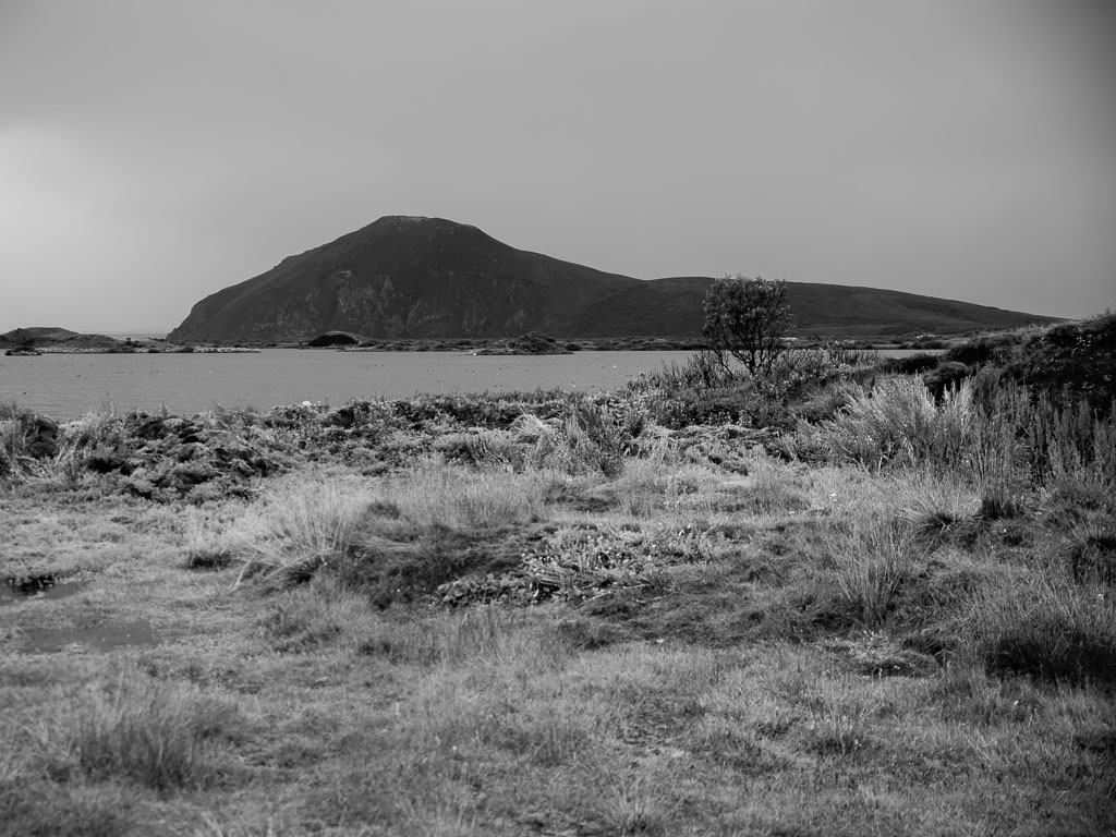 Pentax K-1 / 15 Pentax K-1   15