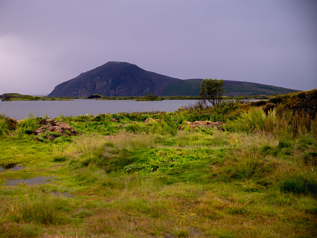 Pentax K-1 / 15 Pentax K-1   15