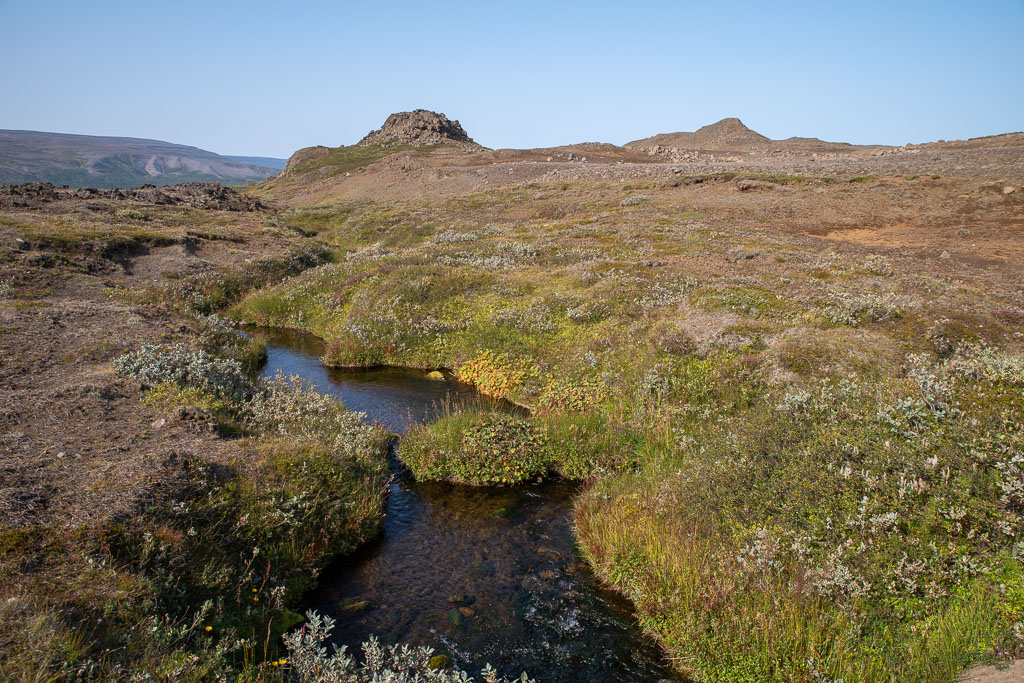 Pentax K-1 / 20 Pentax K-1   20