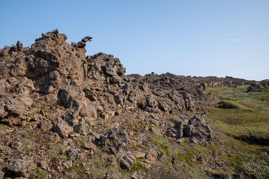 Pentax K-1 / 20 Pentax K-1   20