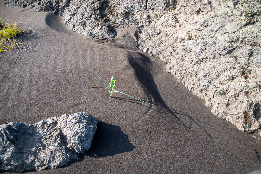 Pentax K-1 / 20 Pentax K-1   20