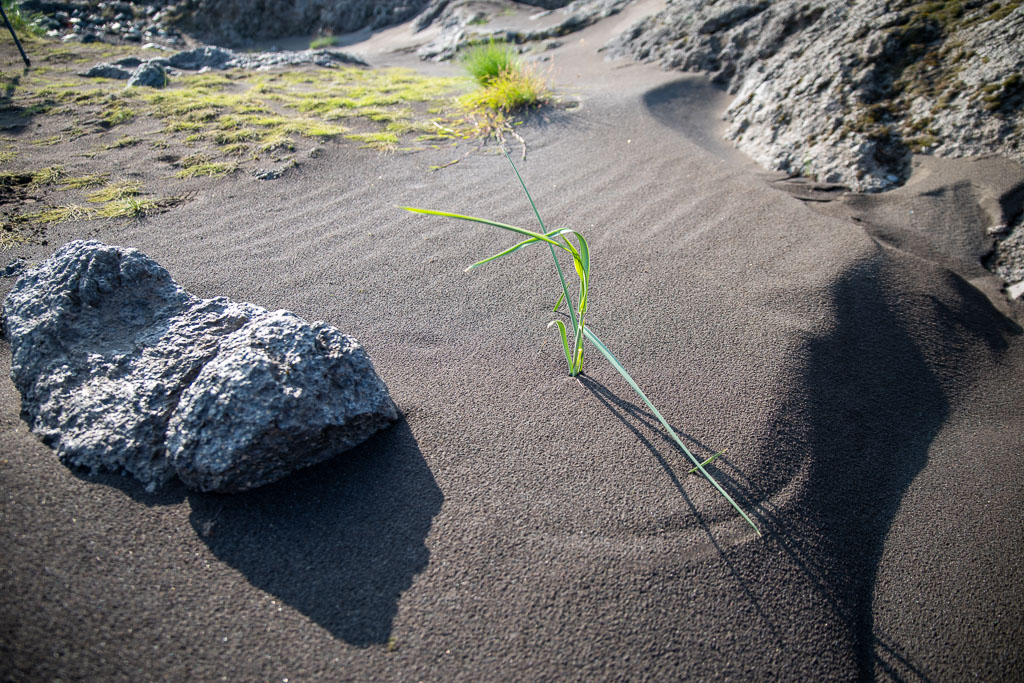 Pentax K-1 / 20 Pentax K-1   20