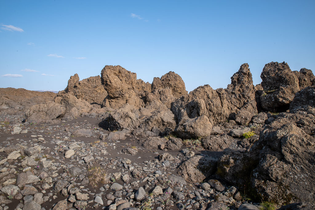 Pentax K-1 / 20 Pentax K-1   20