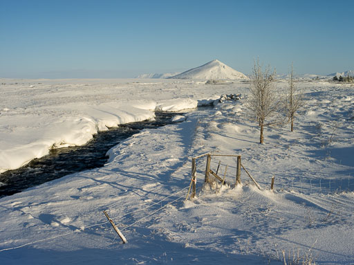 Pentax 645D-2020-02-13 123817  Feb