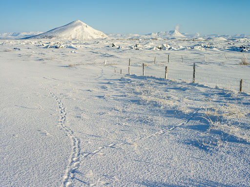 Pentax 645D-2020-02-13 124643  Feb