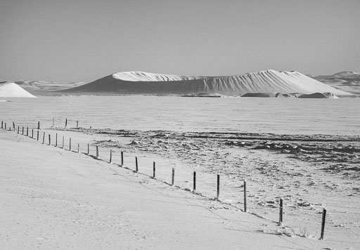 Pentax 645D-2020-02-13 125841  Feb-2