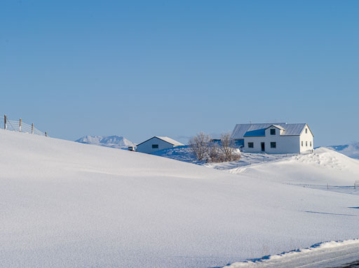 Pentax 645D-2020-02-13 125938  Feb