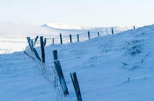 Pentax 645D-2020-02-13 131029  Feb