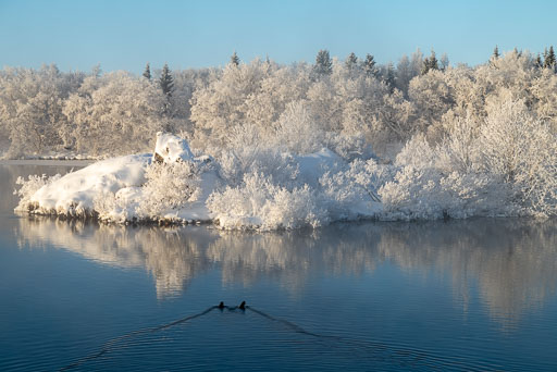 Pentax K-1-2020-02-13 120613  Feb