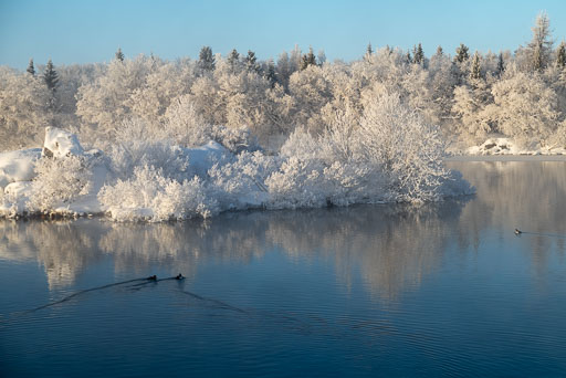 Pentax K-1-2020-02-13 120618  Feb