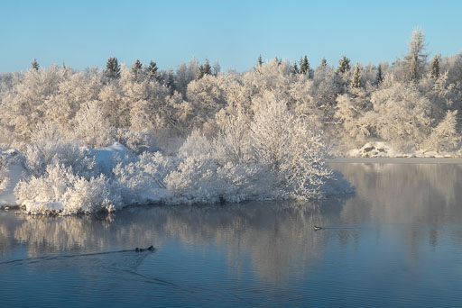 Pentax K-1-2020-02-13 120624  Feb-2