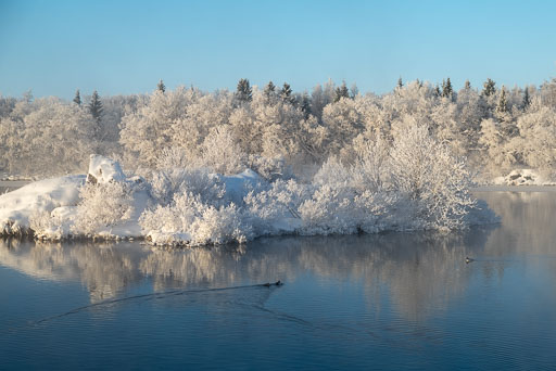 Pentax K-1-2020-02-13 120624  Feb