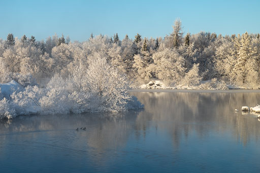 Pentax K-1-2020-02-13 120637  Feb