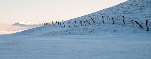 Pentax K-1-2020-02-13 135158  Feb