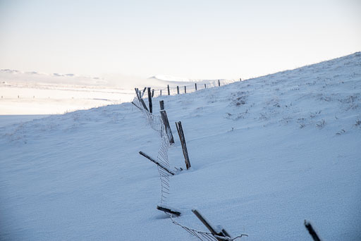 Pentax K-1-2020-02-13 135403  Feb