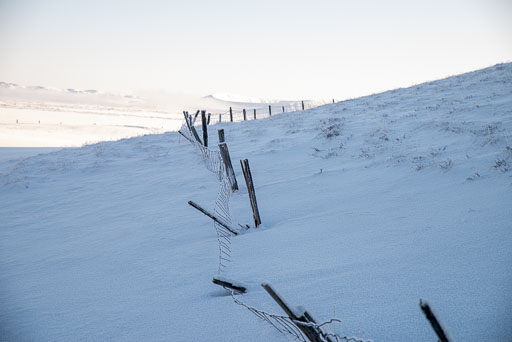 Pentax K-1-2020-02-13 135404  Feb