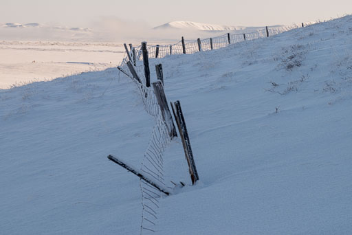 Pentax K-1-2020-02-13 135550  Feb