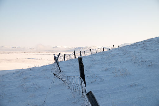 Pentax K-1-2020-02-13 135627  Feb