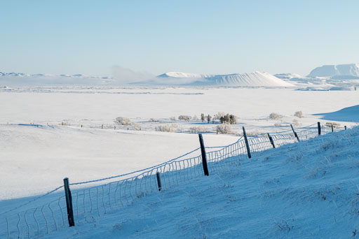 Pentax K-1-2020-02-13 135740  Feb