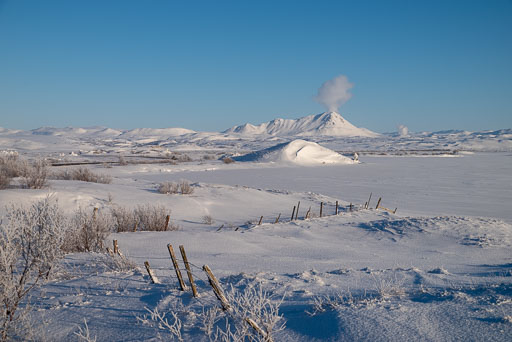 Pentax K-1-2020-02-13 141956  Feb