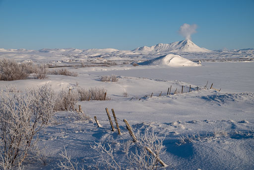 Pentax K-1-2020-02-13 142127  Feb