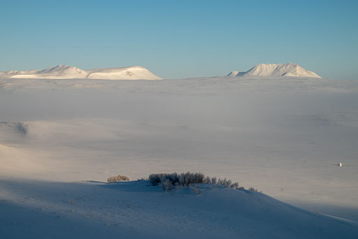 Pentax K-1-2020-02-13 151540  Feb