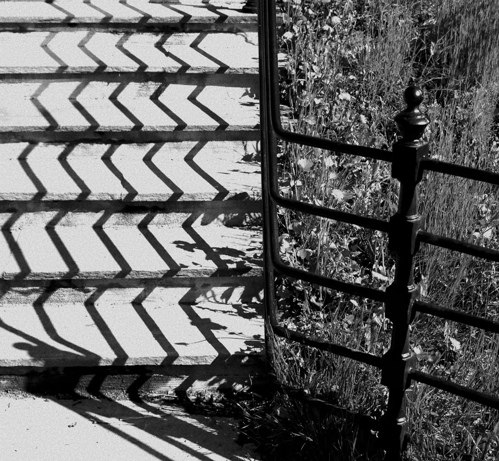 Pentax 645D / 29 Pentax 645D   29