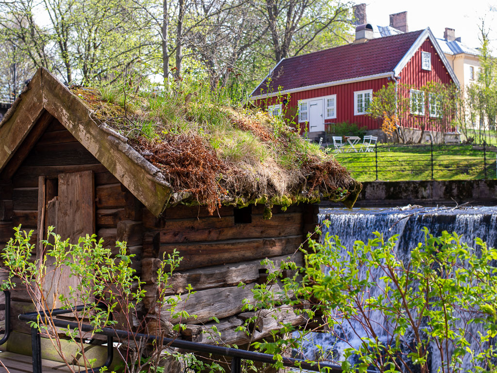 Pentax 645D / 29 Pentax 645D   29