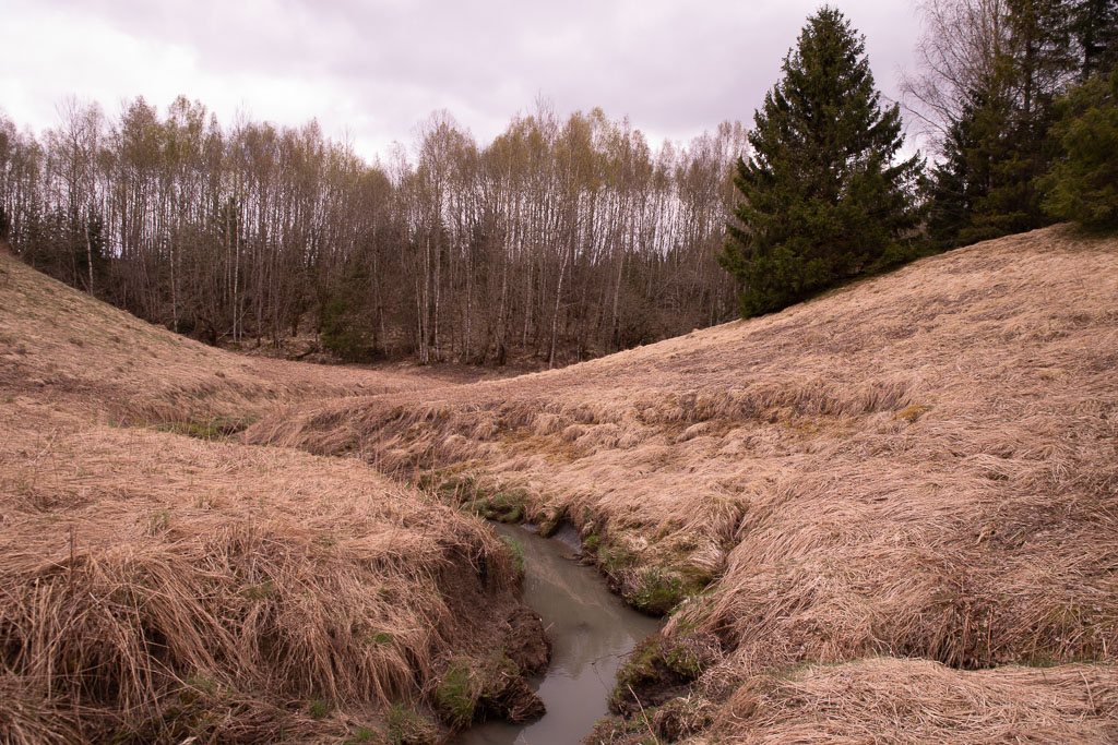 Pentax K-1 / 28 Pentax K-1   28
