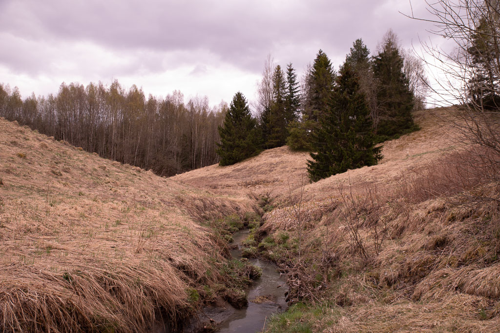 Pentax K-1 / 28 Pentax K-1   28