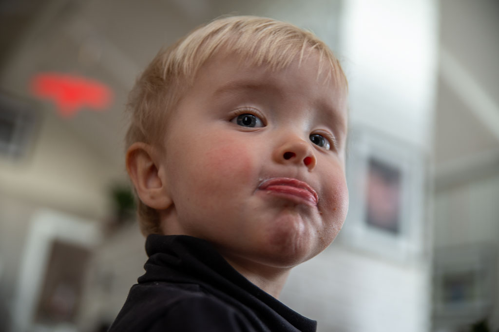 Pentax K-1 / 2 Pentax K-1   2