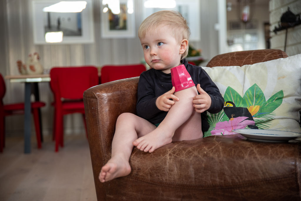 Pentax K-1 / 2 Pentax K-1   2