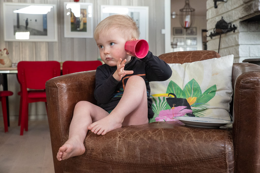 Pentax K-1 / 2 Pentax K-1   2