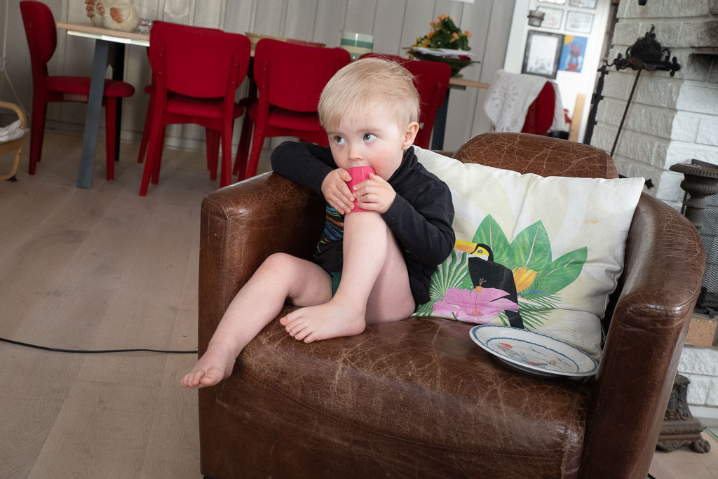 Pentax K-1 / 2 Pentax K-1   2