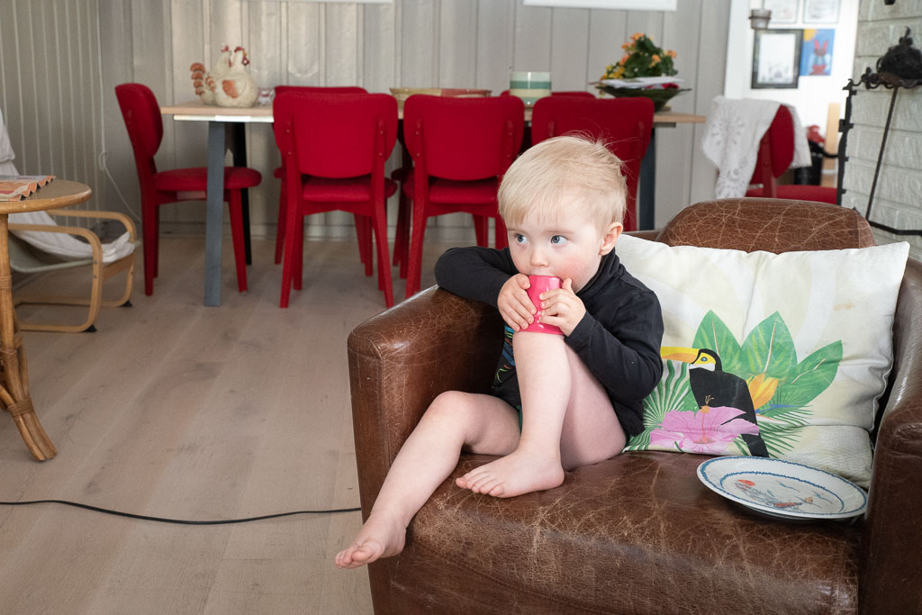 Pentax K-1 / 2 Pentax K-1   2