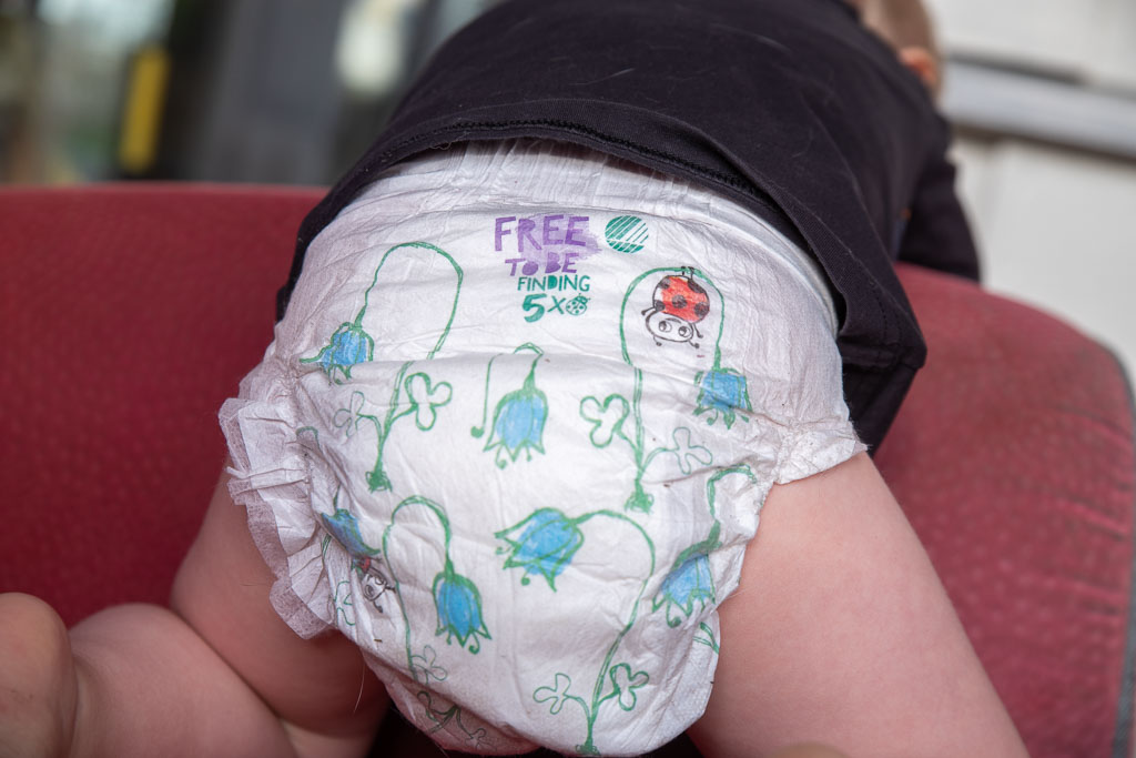 Pentax K-1 / 2 Pentax K-1   2