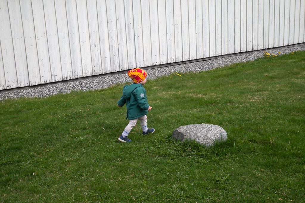 Pentax K-1 / 3 Pentax K-1   3