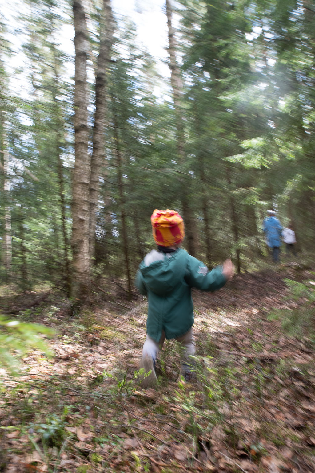 Pentax K-1 / 3 Pentax K-1   3