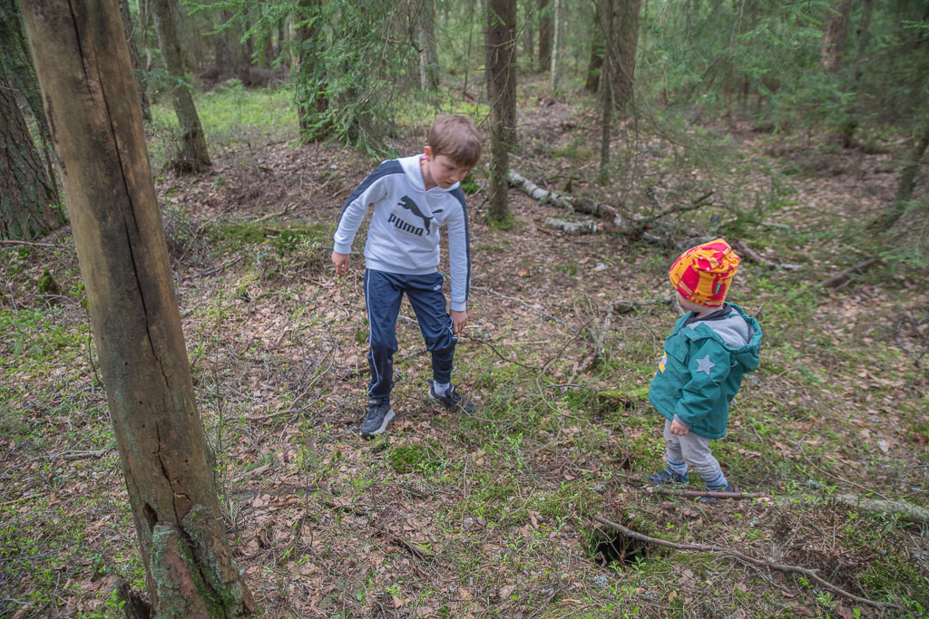 Pentax K-1 / 3 Pentax K-1   3