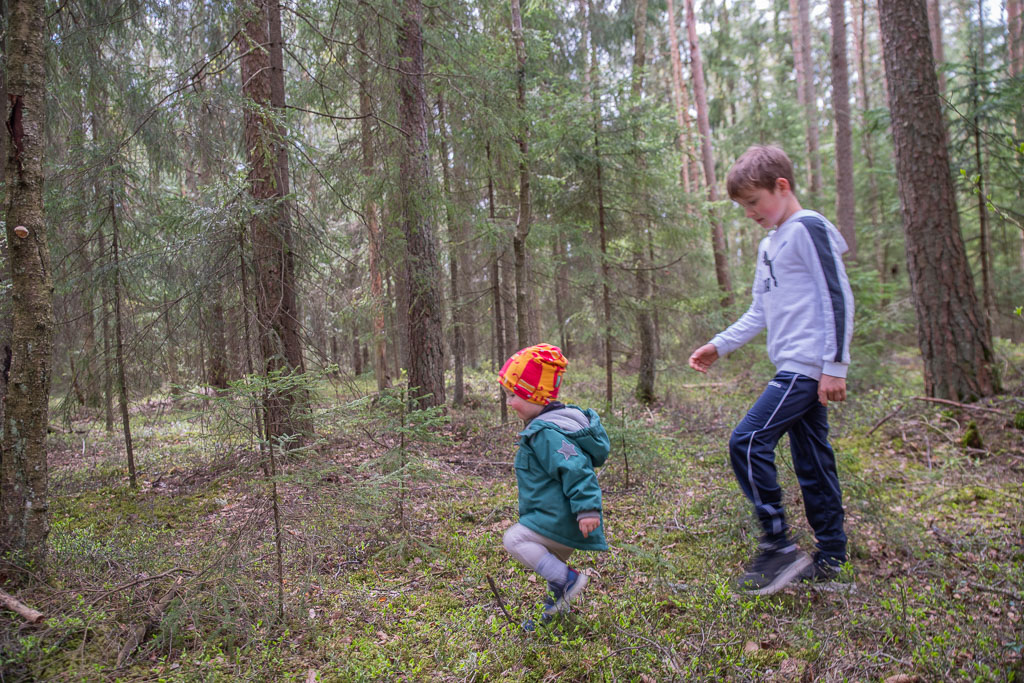 Pentax K-1 / 3 Pentax K-1   3
