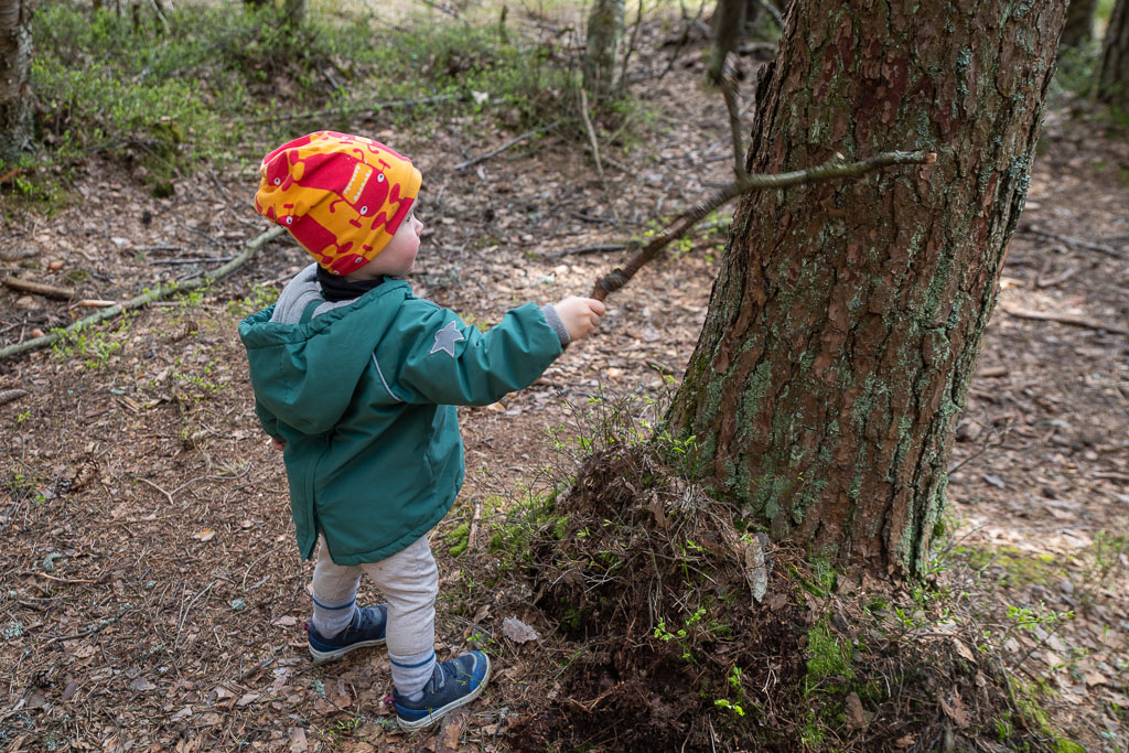 Pentax K-1 / 3 Pentax K-1   3