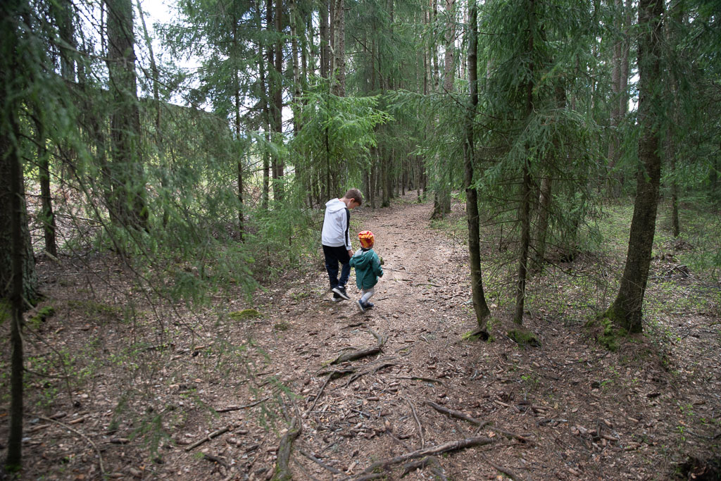 Pentax K-1 / 3 Pentax K-1   3