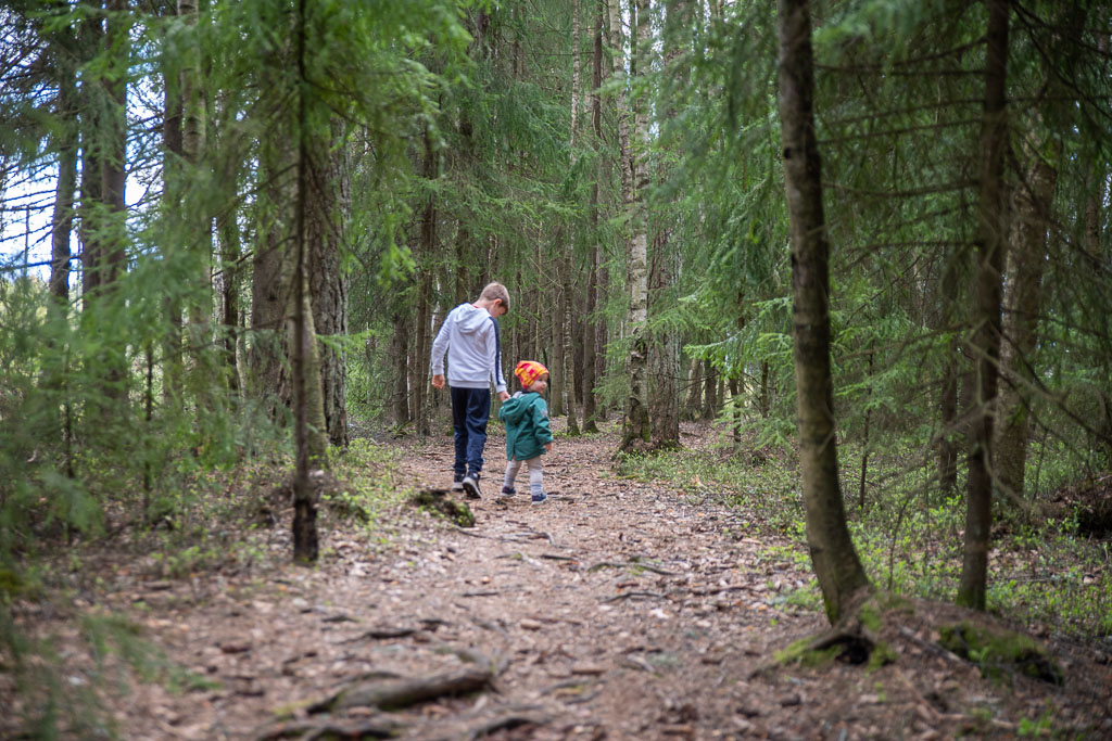 Pentax K-1 / 3 Pentax K-1   3