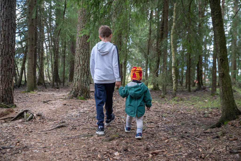 Pentax K-1 / 3 Pentax K-1   3